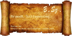 Brandt Szilveszter névjegykártya